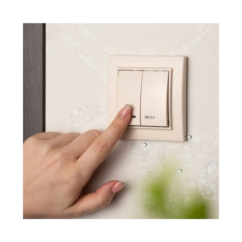 Выключатель с/у Минск ERV10-123-20, 2 клавиши, с/инд, бежевый