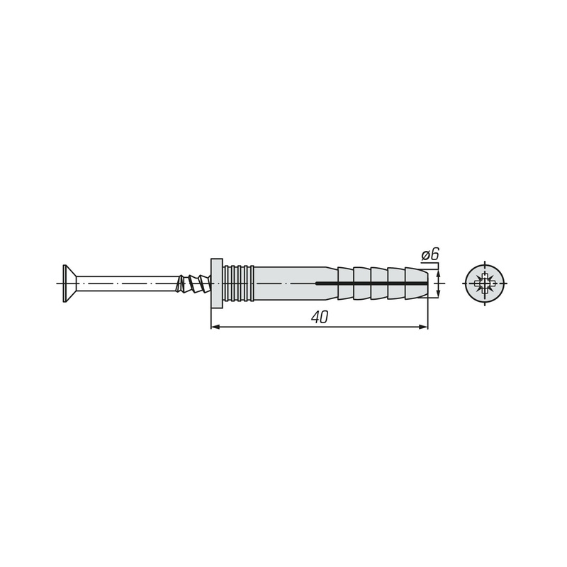 Дюбель-гвоздь SWFS 6L40 (200 шт) контейнер круглый