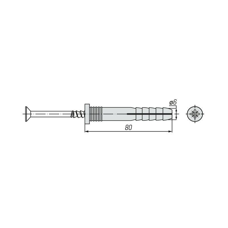 Дюбель-гвоздь SWFS 6L80 (4 шт)